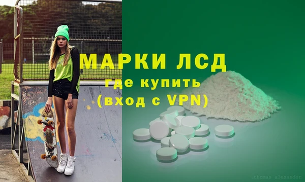 spice Осинники