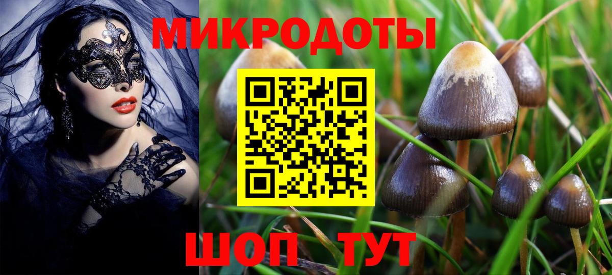 Ковров  Галлюциногенные грибы Psilocybe  Псилоцибиновые грибы прущие грибы  Вход с VPN 