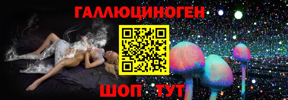 Галлюциногенные грибы Magic Shrooms Ковров